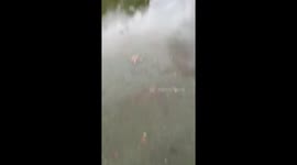 Thunderstorm causes severe flooding in Gilbert, Arizona