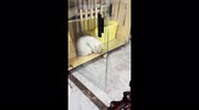 temp