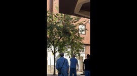 Animal Control Tries to Catch Vulture in Albacete