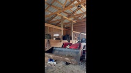 Horse Pulls Lever and Dumps Bucket