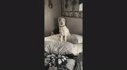 temp