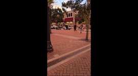 Live Robot in Sarasota Florida