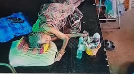 Horrifying moment cobra bites grandmother, 93, as she sleeps