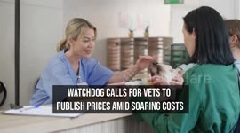 Watchdog Calls For Vets To Publish Prices Amid Soaring Costs