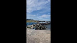 This video is a panoramic shot of a busy fishing harbor or bay on a partly cloudy day. The camera pans slowly from left to right, starting from a pier with docked boats and revealing hundreds of fishing boats gently rocking in the water. In the background