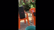 temp