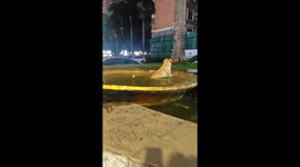 Dog rescued from basin after struggling to climb out in Guangdong, China