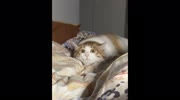temp