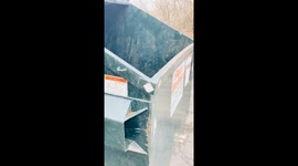 Surprise Find! A Squirrel's Desperate Plea From the Workplace Dumpster