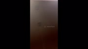 temp