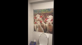 Diner spooked by oddly terrifying toilet wallpapers