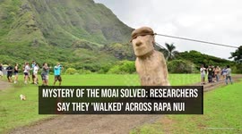 Mystery of the moai solved: Researchers say they 'walked' across Rapa Nui