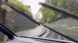 Japan: Bear Incidents Spike in Northern Regions Ahead of Hibernation Season