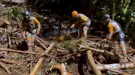 Death toll climbs to 64 in Mexico as floods devastate 5 states