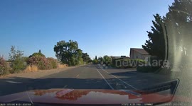 Car Comes Flying From Nearby Overpass