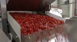 China: China's 'Chili City' finds the spice of life in chili processing industry
