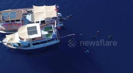 DRONE: Turkish diver Sahika Ercumen breaks world record in dive devoted to Gaza