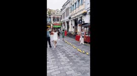 Duck parade on the streets with their dad in Hainan, China
