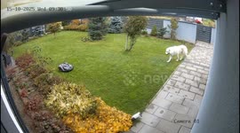 I discovered who was turning off the grass cutter meanwhile I was in the work