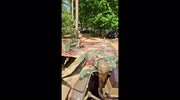 temp