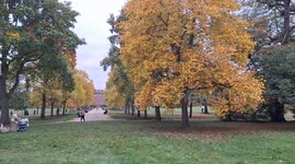 Autumn in park