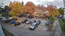 Germany: Crow drops stone, damages parked car in Berlin’s Kreuzberg district