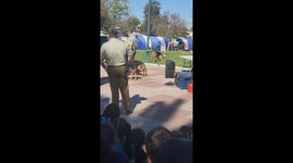 Clever police dog unties its own leash in Peñaflor, Chile