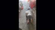 temp