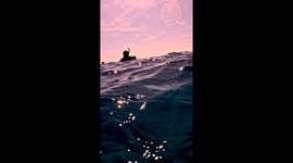 Serene moment pod of whales surround divers off Australian coast