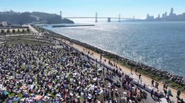 US: Over 2,000 cakes shared at San Francisco’s annual Cake Picnic