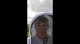 Outraged Beekeeper: Someone Raided My Beehive and Took My Bees!