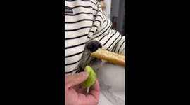 Mom's Tricky Food Swap FAILED