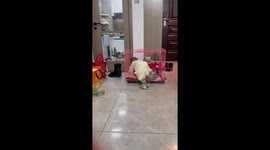 Unexpected Roommates in Dog Crate