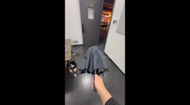 The Umbrella Gone Wrong