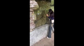 Playdate with a Lion