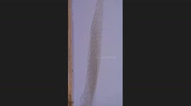 The Sky Turns Black with Birds!