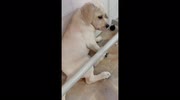 temp