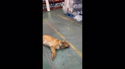 temp