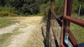Remote control car crashes into metal fence in San Antonio, Texas, USA