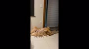 temp