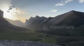 Dandelions Dance Across Grassland