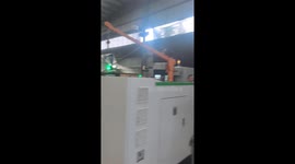 Workshop’s furry foreman overseeing operations in Shaanxi, China