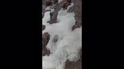 temp