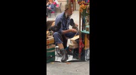 Organ player and birds enchant Porto—Marco’s “Hasta Cuando” street performance hits 5.9M Instagram views