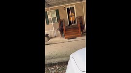 My puppy reaction to me coming home, after being gone for 3 weeks!!!