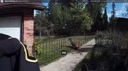 temp