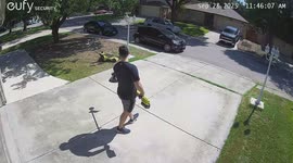 Bug Startles Man Doing Yard Work