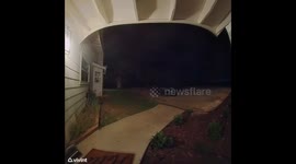 Wife tries to sneak rescue dog into house—doorbell camera has other plans