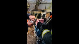 Firefighters rescue pigeons from warehouse blaze in Moscow, Russia
