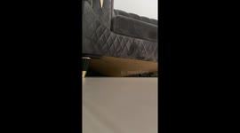 Mischievous cat found hiding inside a couch in Eskişehir, Turkey